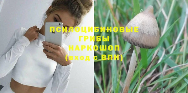 марки lsd Богданович