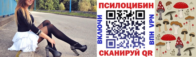 Купить  Луга  Псилоцибиновые грибы Psilocybe 